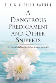 A Dangerous Predicament and Other Snippets : The Great  Balancing Act in Indian Families