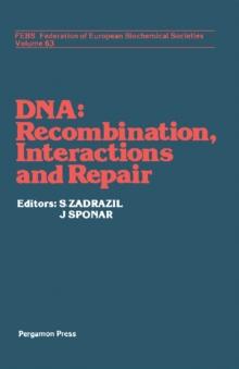 DNA - Recombination Interactions and Repair : Proceedings of the FEBS Symposium on DNA, Liblice, 1979