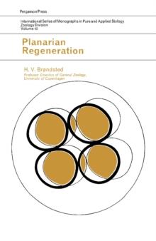 Planarian Regeneration : International Series of Monographs in Pure and Applied Biology: Zoology