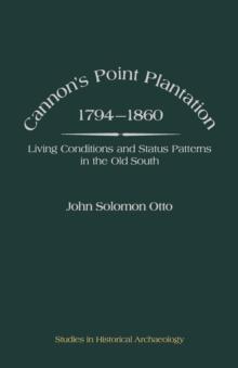 Cannon's Point Plantation, 1794 - 1860 : Living Conditions and Status Patterns in the Old South