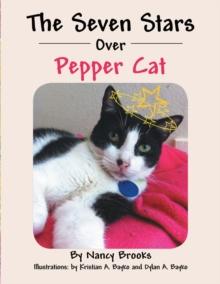 The Seven Stars over Pepper Cat