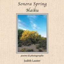 Sonora Spring Haiku