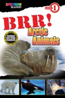 BRR! Arctic Animals : Level 1