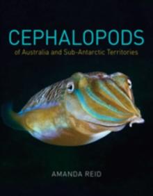 Cephalopods of Australia and Sub-Antarctic Territories