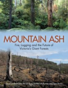 Mountain Ash : Fire, Logging and the Future of Victoria's Giant Forests