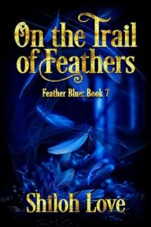 On the Trail of Feathers