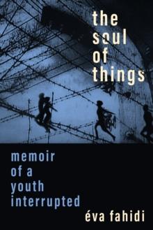 The Soul of Things : Memoir of a Youth Interrupted