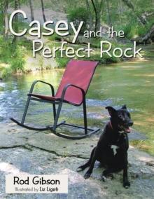 Casey and the Perfect Rock