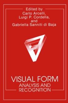 Visual Form : Analysis and Recognition