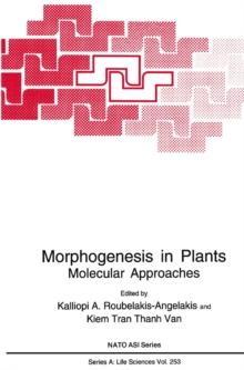 Morphogenesis in Plants : Molecular Approaches