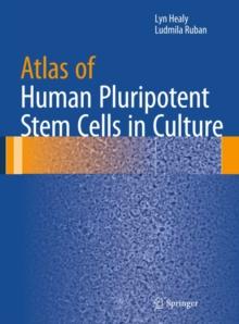 Atlas of Human Pluripotent Stem Cells in Culture