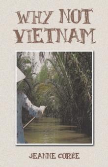 Why Not Vietnam