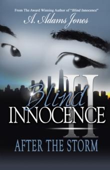 Blind Innocence Ii : After the Storm