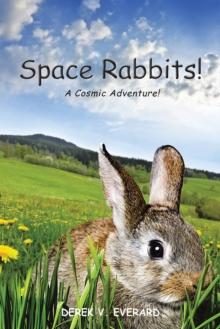 Space Rabbits! : A Cosmic Adventure!