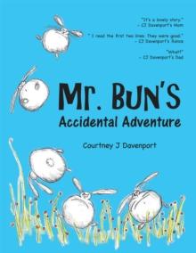 Mr. Bun's Accidental Adventure