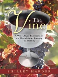 The Vine : A Wide-Angle Panorama of the Church from Eternity to Eternity