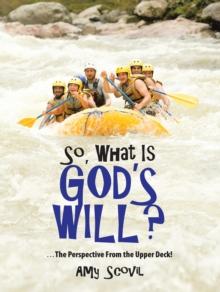 So, What Is God's Will? : ...The Perspective from the Upper Deck!