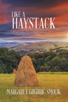 Like a Haystack : Life from My Perspective