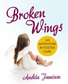 Broken Wings : An Adventure in Foster Care