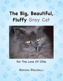 The Big, Beautiful, Fluffy Gray Cat : For the Love of Ollie