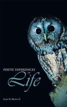 Poetic Experiences of Life