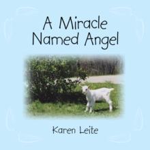 A Miracle Named Angel