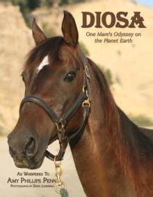 Diosa : One Mare's Odyssey on the Planet Earth