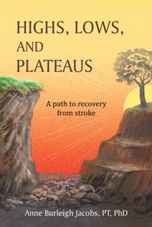 Highs, Lows, and Plateaus : A Path to Recovery from Stroke