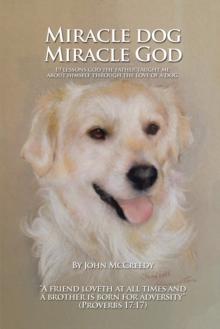 Miracle Dog Miracle God : What God the Father Taught Me About Himself Through the Love of a Dog