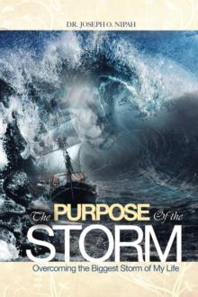 The Purpose of the Storm : Overcoming the Biggest Storm of My Life