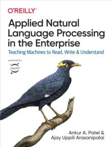 Applied Natural Language Processing in the Enterprise