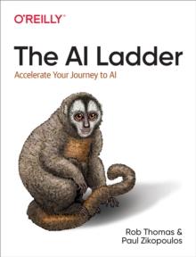 The AI Ladder : Accelerate Your Journey to AI