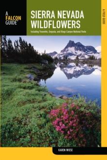 Sierra Nevada Wildflowers : A Field Guide to Common Wildflowers and Shrubs of the Sierra Nevada