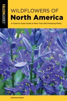 Wildflowers of North America : A Coast-to-Coast Guide to More than 500 Flowering Plants