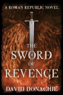 The Sword of Revenge : A Roman Republic Novel