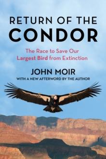 Return of the Condor : The Race to Save Our Largest Bird from Extinction