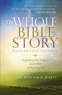 The Whole Bible Story : Everything That Happens in the Bible in Plain English