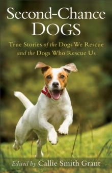 Second-Chance Dogs : True Stories of the Dogs We Rescue and the Dogs Who Rescue Us