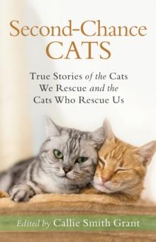 Second-Chance Cats : True Stories of the Cats We Rescue and the Cats Who Rescue Us