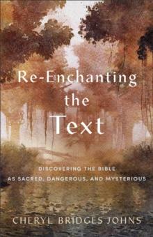 Re-enchanting the Text : Discovering the Bible as Sacred, Dangerous, and Mysterious