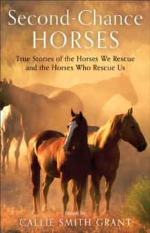 Second-Chance Horses : True Stories of the Horses We Rescue and the Horses Who Rescue Us