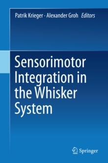 Sensorimotor Integration in the Whisker System