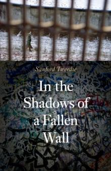 In the Shadows of a Fallen Wall