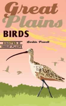 Great Plains Birds