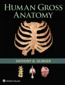 Human Gross Anatomy