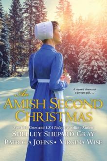 An Amish Second Christmas