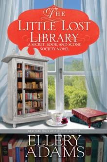 The Little Lost Library