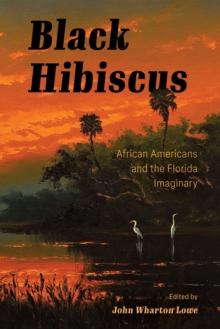 Black Hibiscus : African Americans and the Florida Imaginary