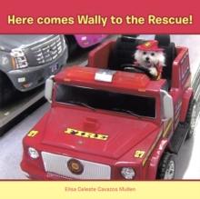 Here Comes Wally to the Rescue!