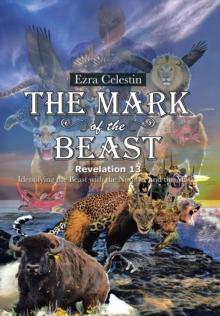 The Mark of the Beast Revelation 13 : Identifying the Beast with the Number and the Mark